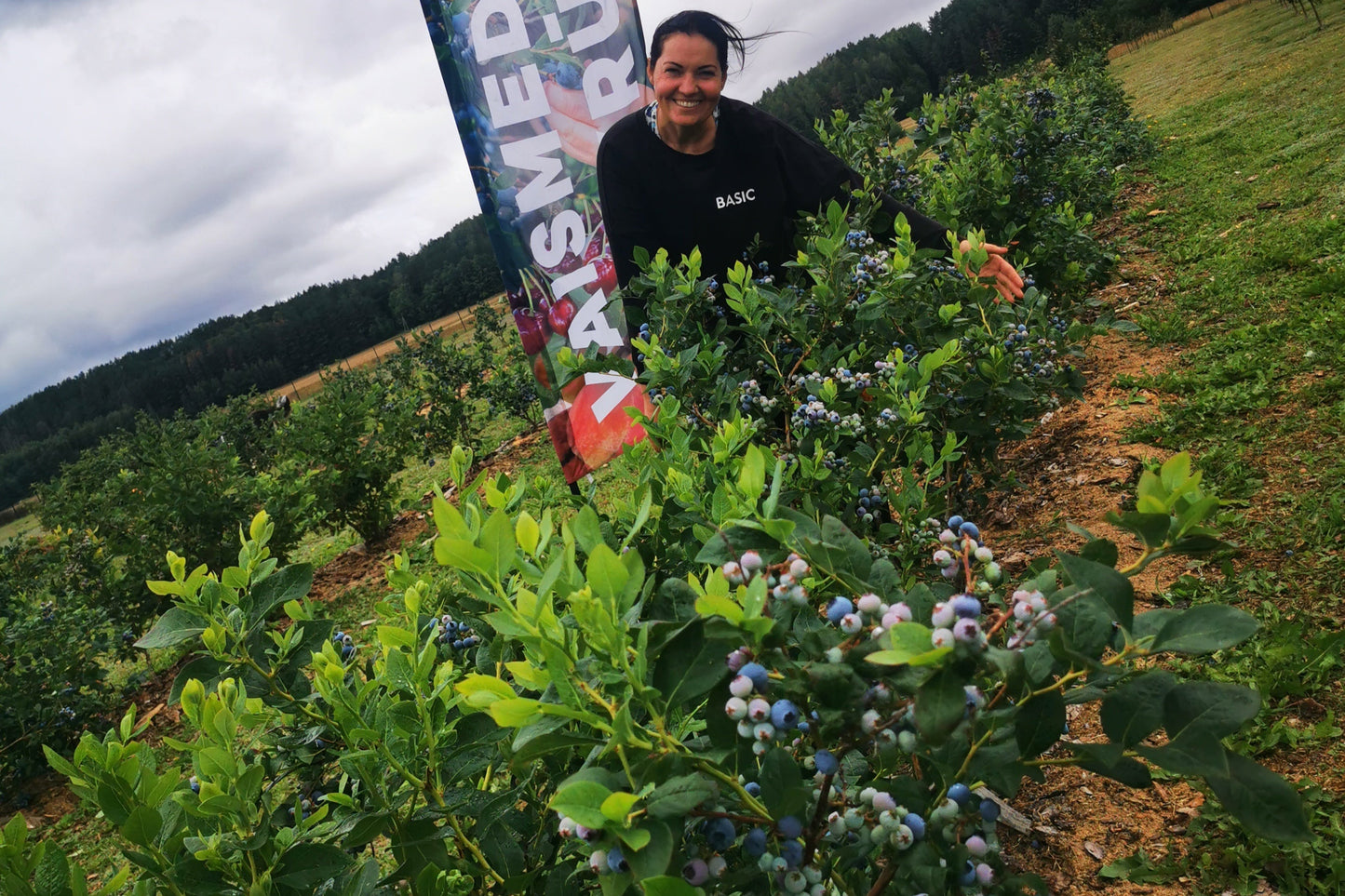 ŠILAUOGES (5 metų)