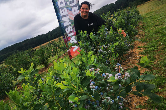 ŠILAUOGES (5 metų)